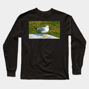 Gull Standing On A Rock Long Sleeve T-Shirt